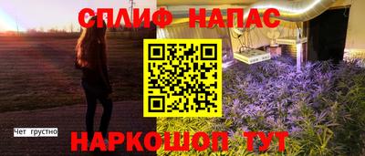 индика Ликино-Дулёво