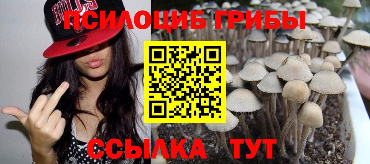 Элиста  Псилоцибиновые грибы Cubensis  Галлюциногенные грибы прущие грибы  Вход с VPN 